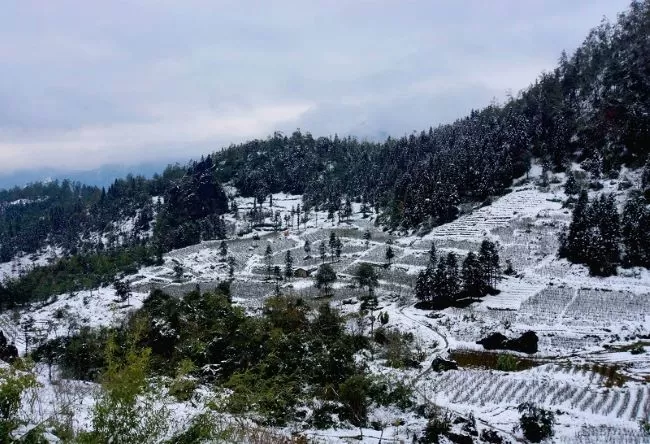 サパ 雪 観光ツア